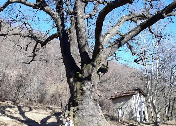 Appartement Casa Azzurra